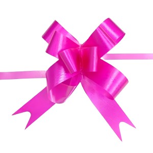 LAÇO FÁCIL DE PLÁSTICO 10 LAÇOS 15MM X 370MM- DL881801-RS