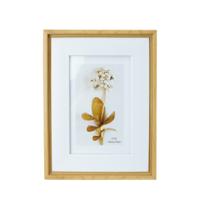 PORTA RETRATO DE PLÁSTICO 10X15CM - SXPX14257