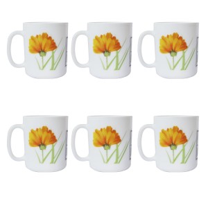 JOGO COM 6 PÇS DE CANECA PARA CHÁ E CAFÉ COM ESTAMPA FLORAL DE VIDRO 320ML-1473