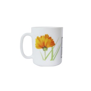 JOGO COM 6 PÇS DE CANECA PARA CHÁ E CAFÉ COM ESTAMPA FLORAL DE VIDRO 320ML-1473