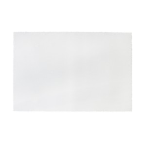 JOGO AMERICANO DE PLASTICO 30X45CM- 0937-13