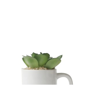 ENFEITE NA CANECA COM PLANTA ARTIFICIAL SUCULENTA  5.4X6CM - GDR0410-A