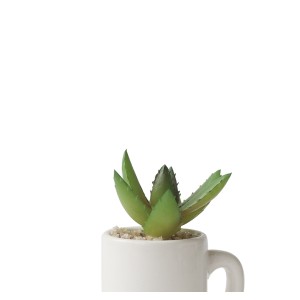 ENFEITE NA CANECA COM PLANTA ARTIFICIAL SUCULENTA  5.4X6CM - GDR0410-F