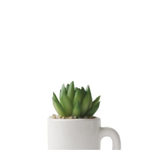 ENFEITE NA CANECA COM PLANTA ARTIFICIAL SUCULENTA  5.4X6CM - GDR0410-J