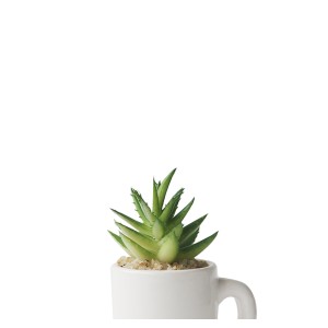 ENFEITE NA CANECA COM PLANTA ARTIFICIAL SUCULENTA  5.4X6CM - GDR0410-K